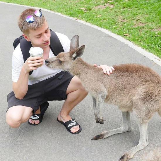 微小PC激励政策全面解读及应用宝消耗增长分析